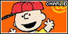 100x50 code