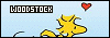 100x35 code