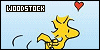 100x50 code