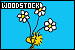 75x50 code