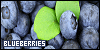100x50 code