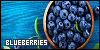100x50 code