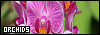 100x35 code