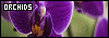 100x35 code