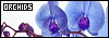 100x35 code