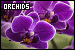 75x50 code