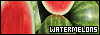 100x35 code