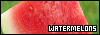 100x35 code