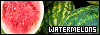 100x35 code