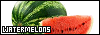 100x35 code