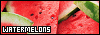 100x35 code