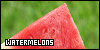 100x50 code