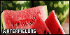 100x50 code