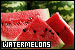 75x50 code