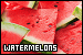 75x50 code