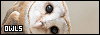 100x35 code