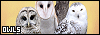 100x35 code