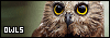 100x35 code