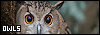 100x35 code