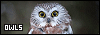 100x35 code