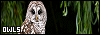 100x35 code
