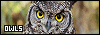 100x35 code