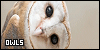 100x50 code