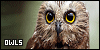 100x50 code