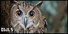 100x50 code