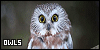 100x50 code