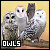50x50 code