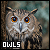 50x50 code