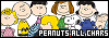 100x35 code