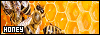 100x35 code