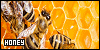 100x50 code