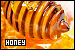 75x50 code