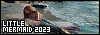100x35 code