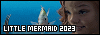 100x35 code