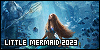 100x50 code