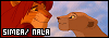 100x35 code