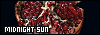100x35 code