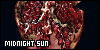 100x50 code