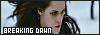100x35 code