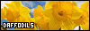 100x35 code
