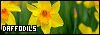 100x35 code