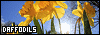 100x35 code