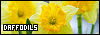 100x35 code