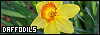 100x35 code