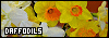 100x35 code