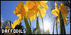 100x50 code